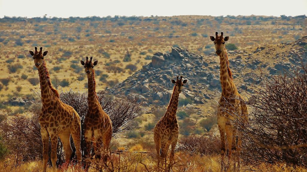 Tutwa Desert Lodge Augrabies エクステリア 写真