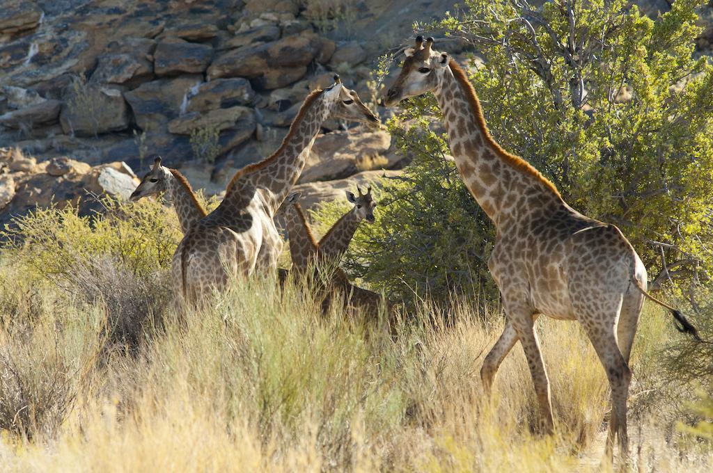 Tutwa Desert Lodge Augrabies エクステリア 写真