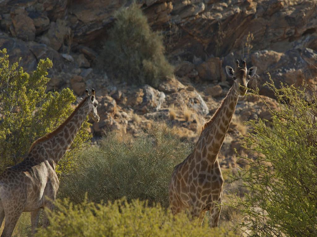 Tutwa Desert Lodge Augrabies エクステリア 写真
