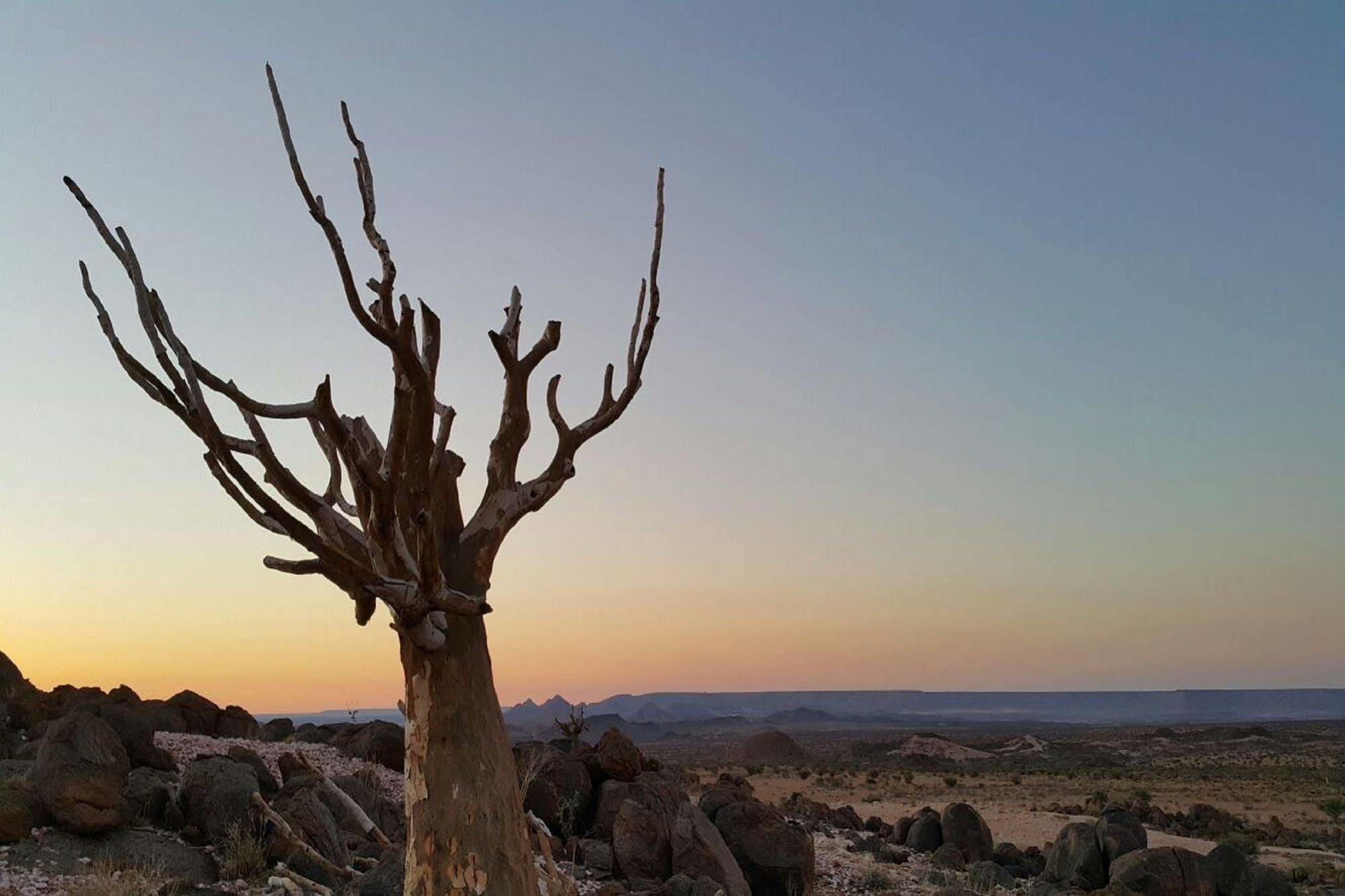Tutwa Desert Lodge Augrabies エクステリア 写真