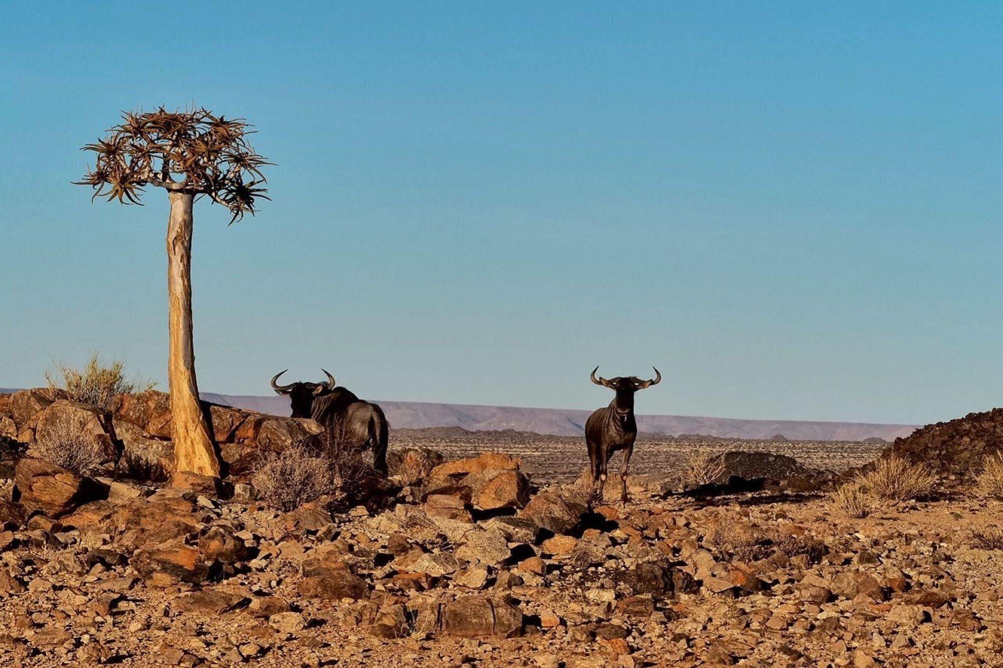 Tutwa Desert Lodge Augrabies エクステリア 写真